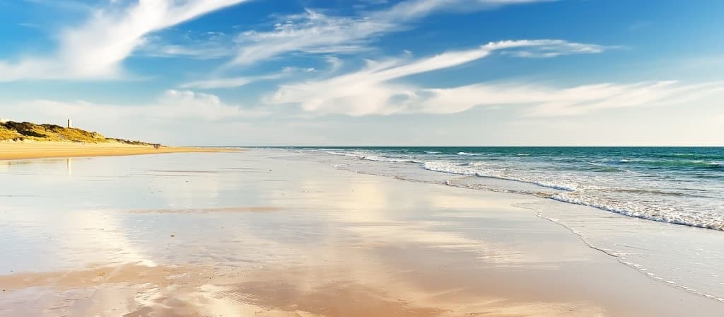 Rosario Ariza Muñoz - Agente inmobiliario en Chiclana de la Frontera