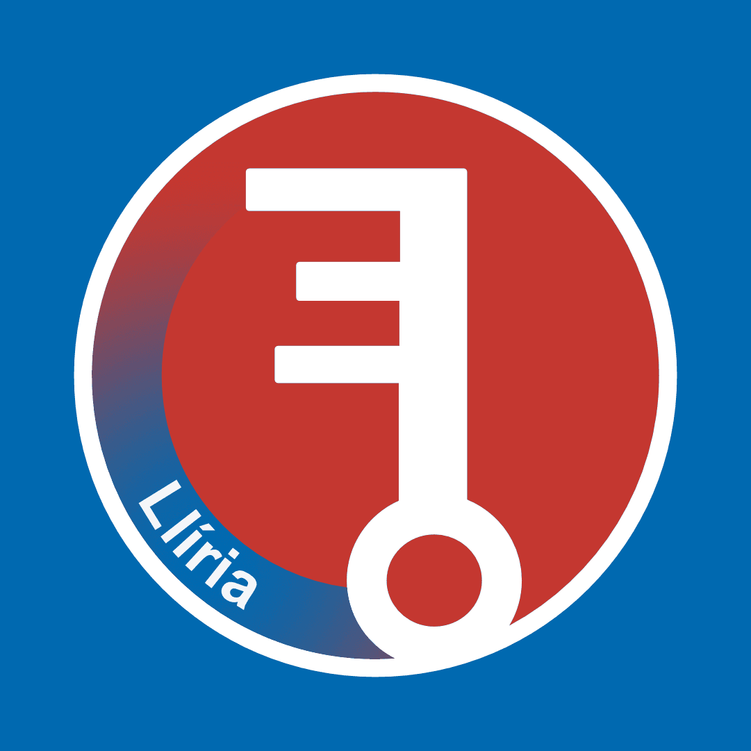 Llave Maestra Red Inmobiliaria | Llíria