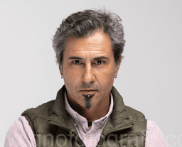 Enrique Vallinas Lazaro - Agente inmobiliario en Soto del Real