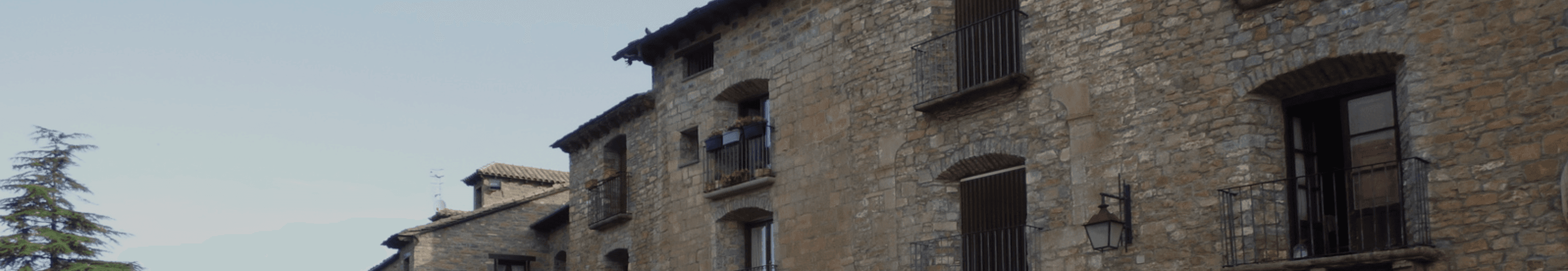 Francisco Rosales Valdés - Agente inmobiliario en Aínsa