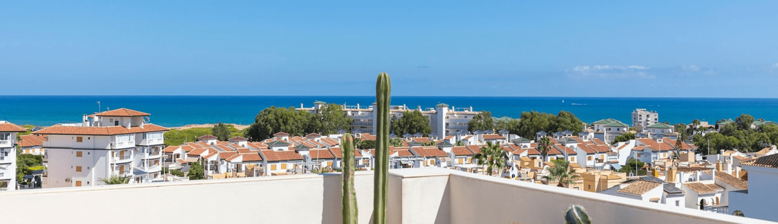 Niels Rennen - Agente inmobiliario en La Mata