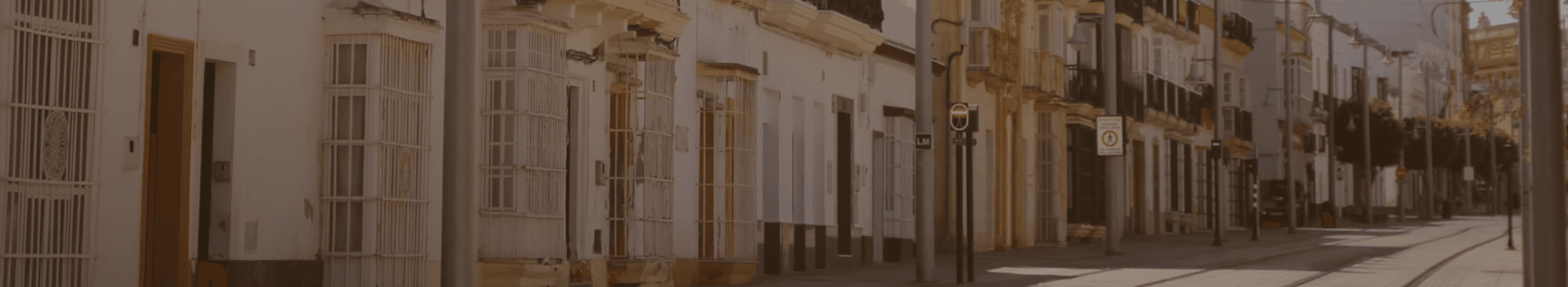 Hippocampus Inmobiliaria - Agencia inmobiliaria en San Fernando