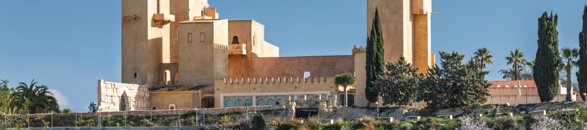 Brigitte Poulet - Agente inmobiliario en San Miguel de Salinas