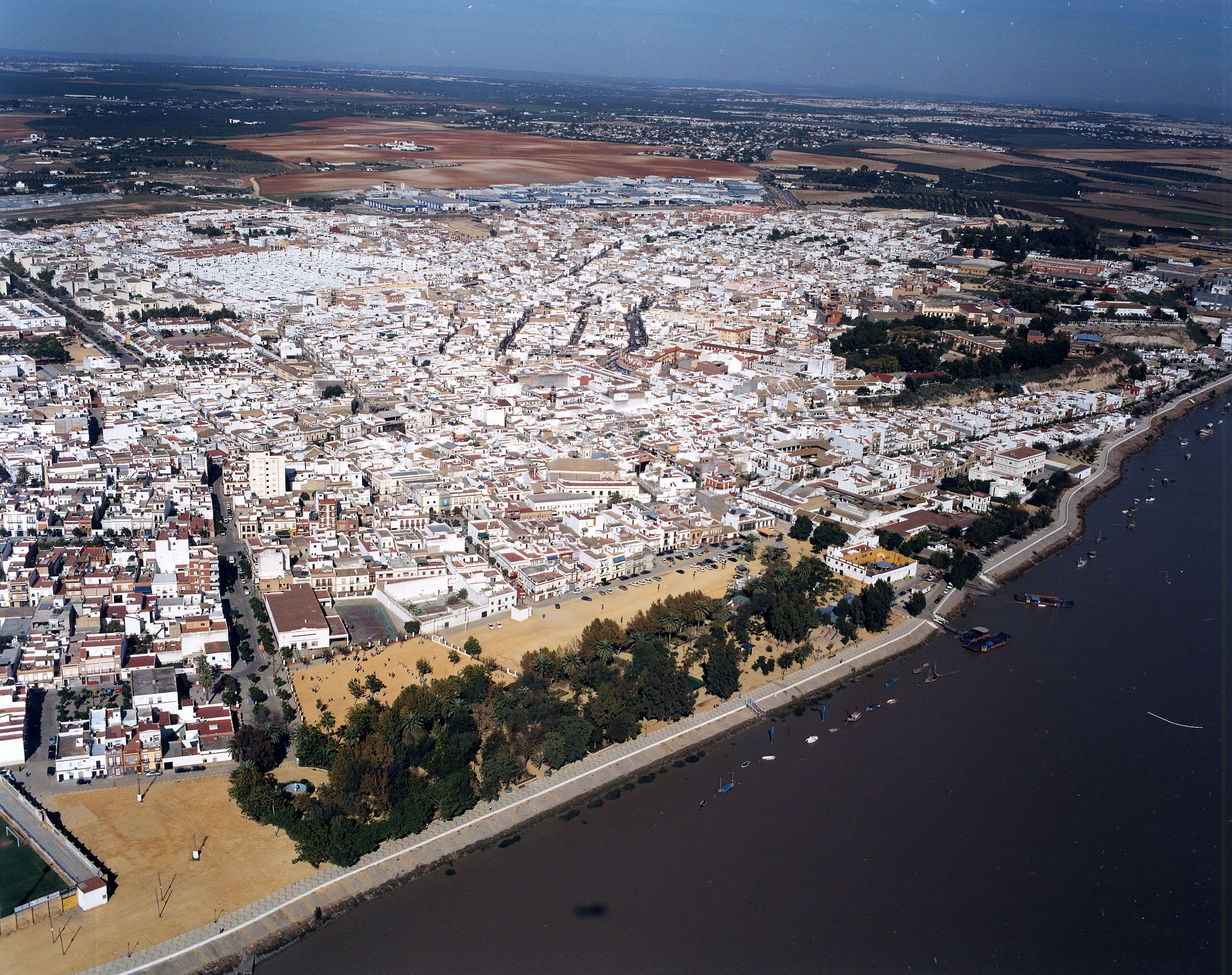 Eloy Gamero - Agente inmobiliario en Coria del Río