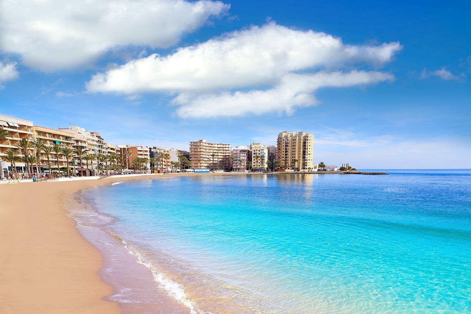 Delfina Martínez Fuentes - Agente inmobiliario en Torrevieja