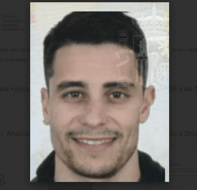 Agente inmobiliario en Les Borges Blanques: Dani Viñuales