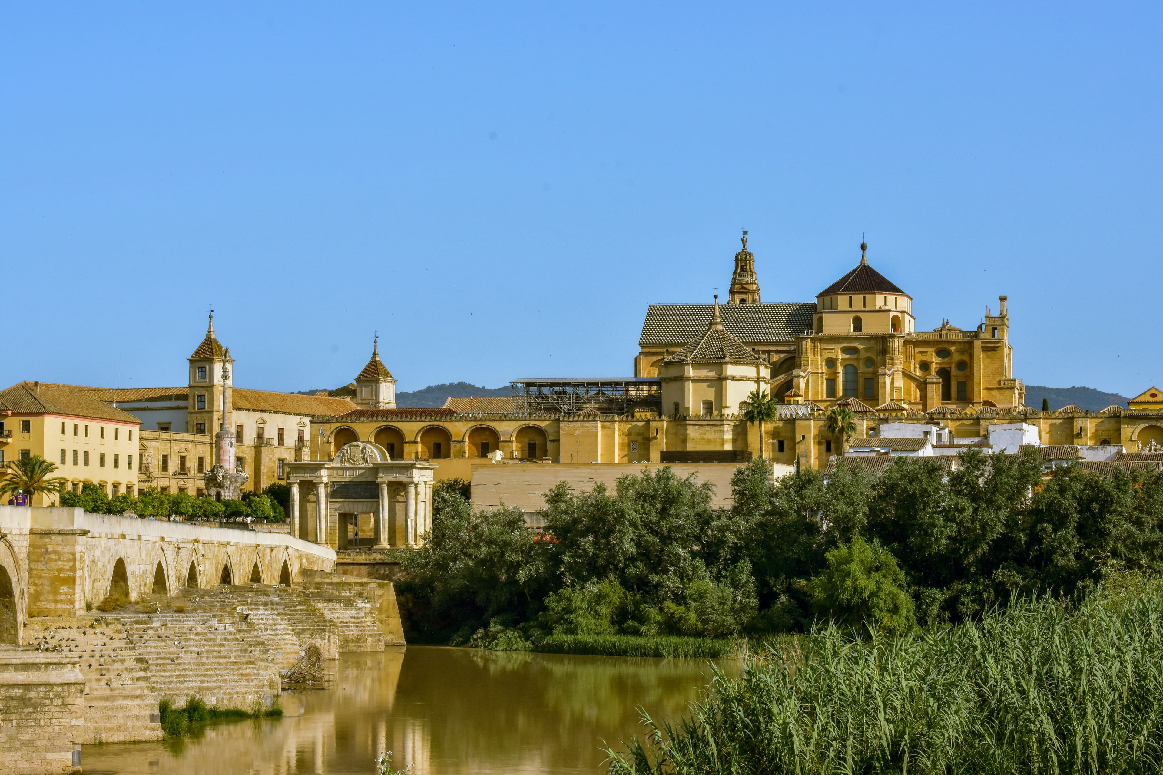 Manuel Manrique Calzadilla - Agente inmobiliario en Noroeste