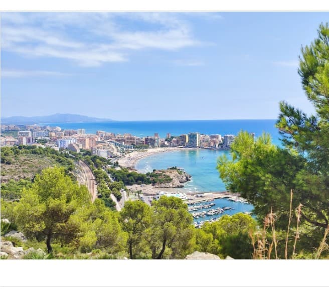 Fincas Mata Inmobiliaria - Agencia inmobiliaria en La Playa