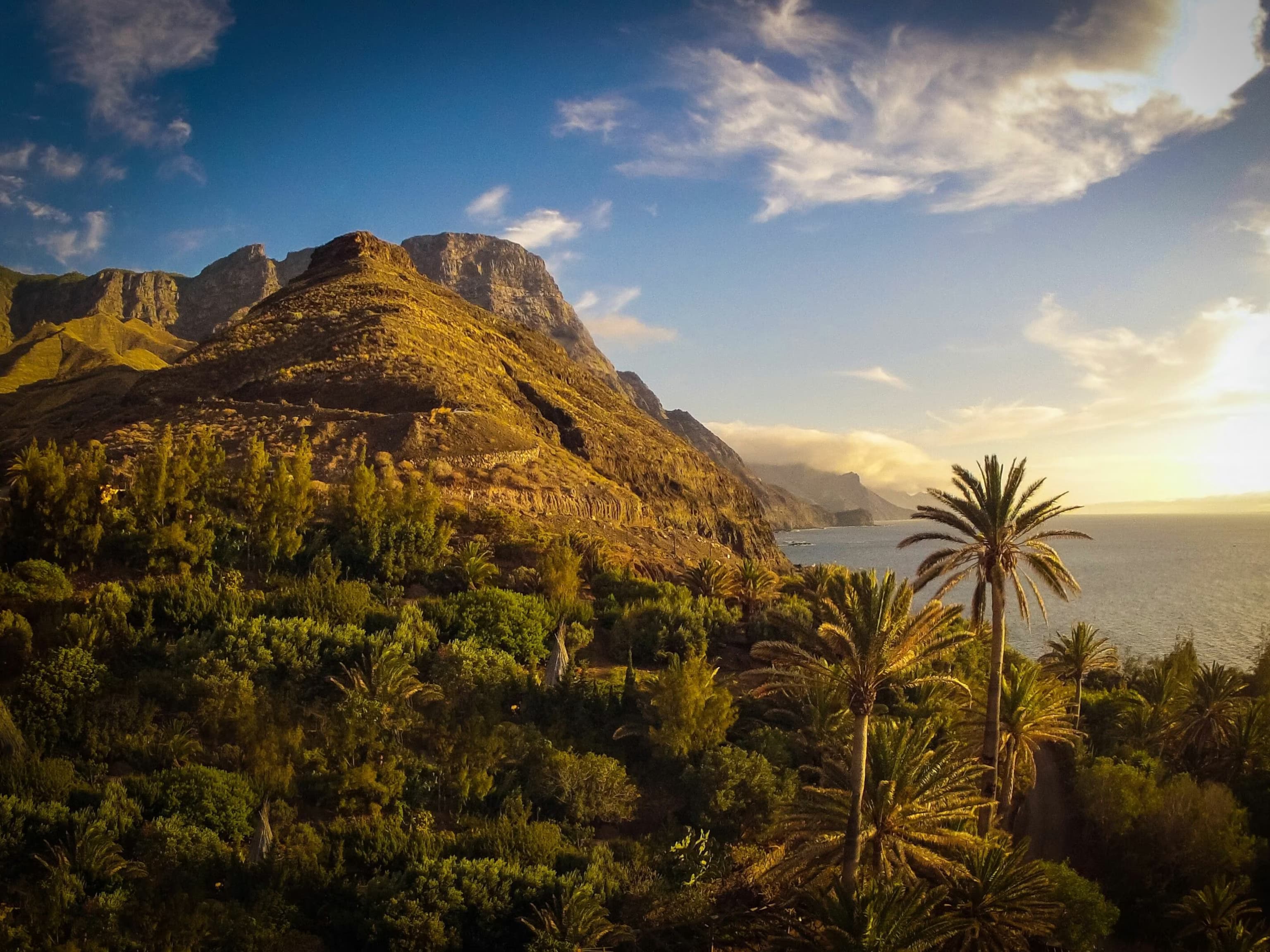 Montalti Profesionales Inmobiliarios - Agencia inmobiliaria en Santa Brígida