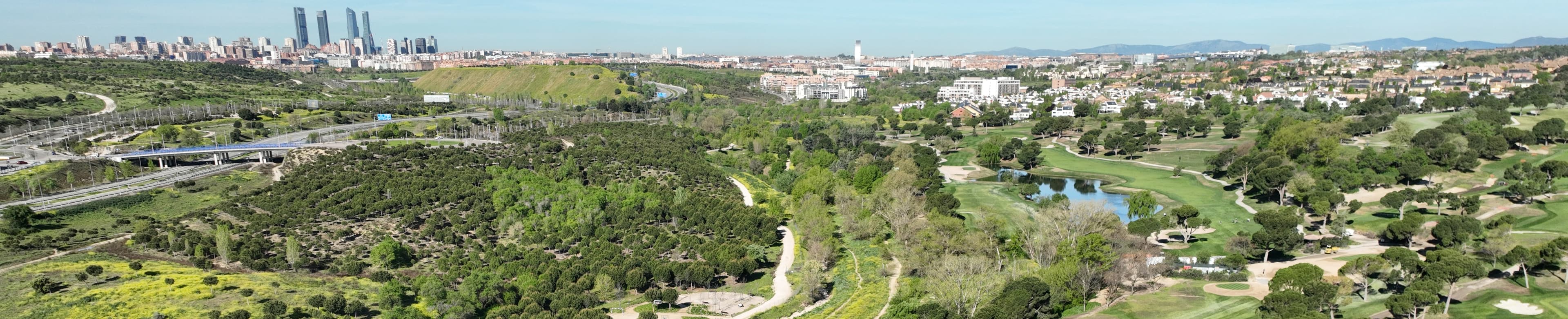 Carla Marques - Agente inmobiliario en El