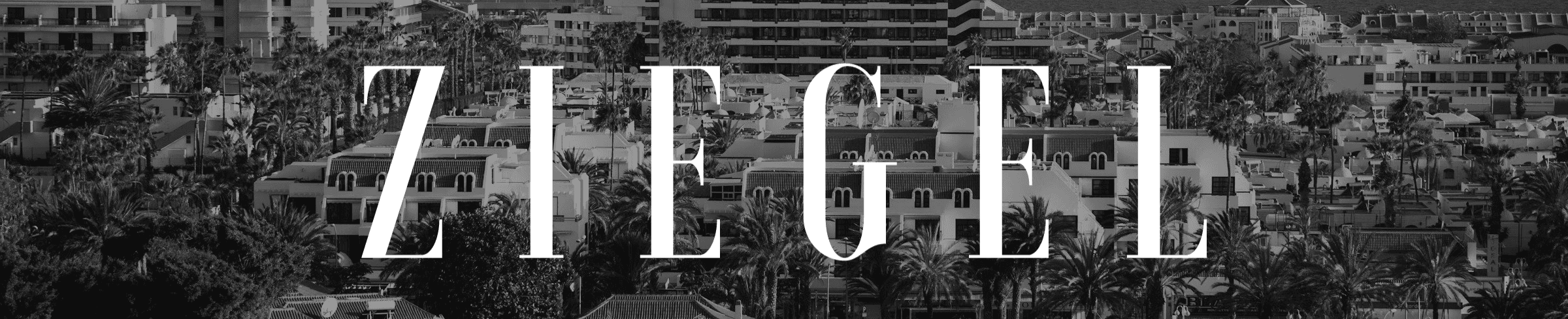 Liz - Ziegel - Tenerife - Agencia inmobiliaria en El Médano