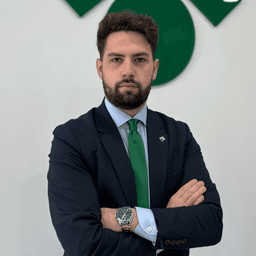 Francis Martín - Agente inmobiliario en Talavera de la Reina