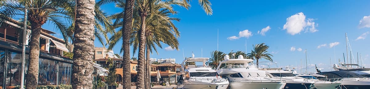 Living by Carlos - Agencia inmobiliaria en Portals Nous