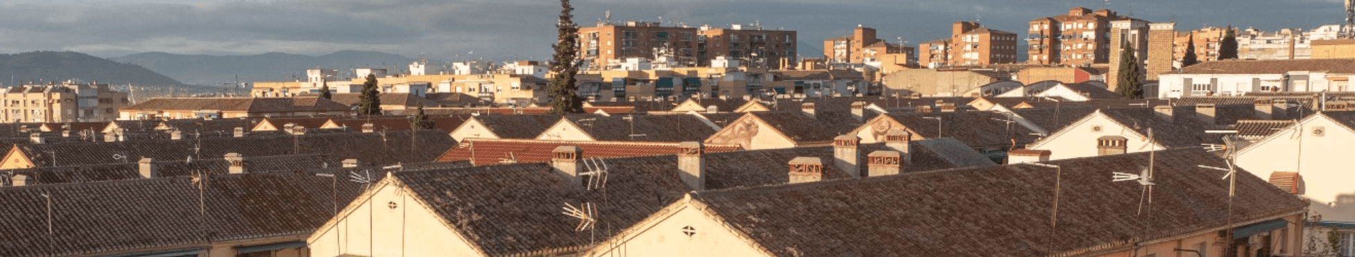 RUIZCASAS INMOBILIARIA - Agencia inmobiliaria en Chana
