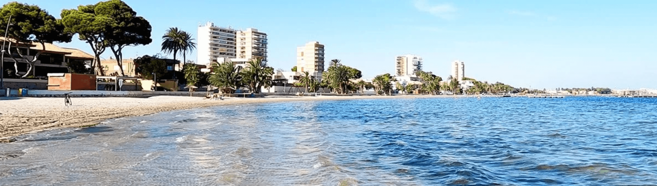Rocío González Sainz - Agente inmobiliario en Santiago de la Ribera