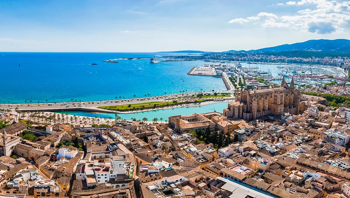 Dalia Durán - Agente inmobiliario en Las Palmas de Gran Canaria