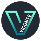 VIGONTE CONSULTING INMOBILIARIO SL