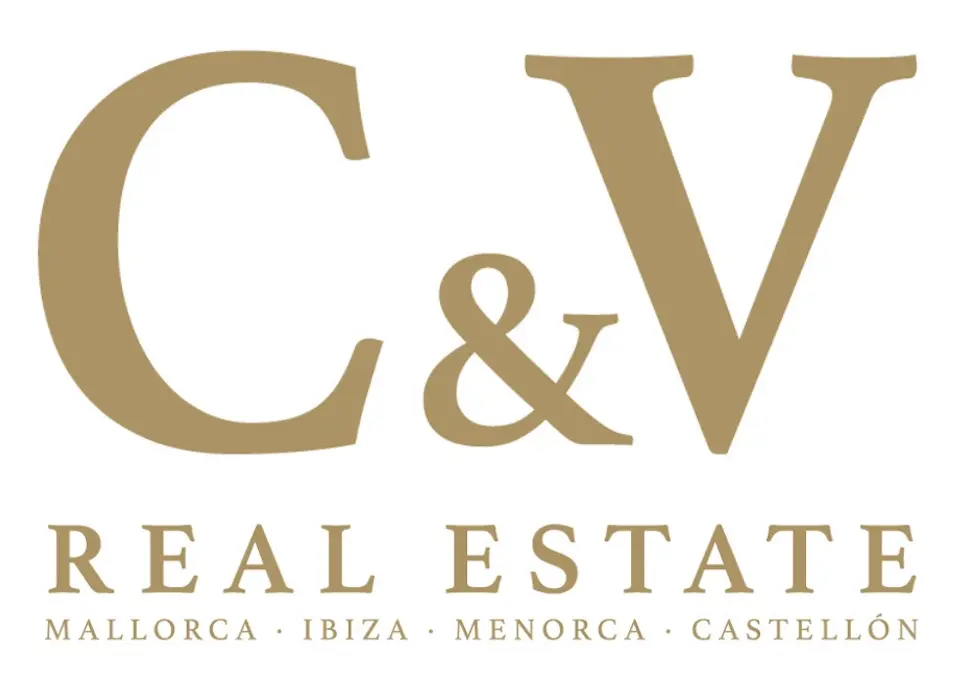 David Casinos Valenciano - Agente inmobiliario en Castelló de la Plana