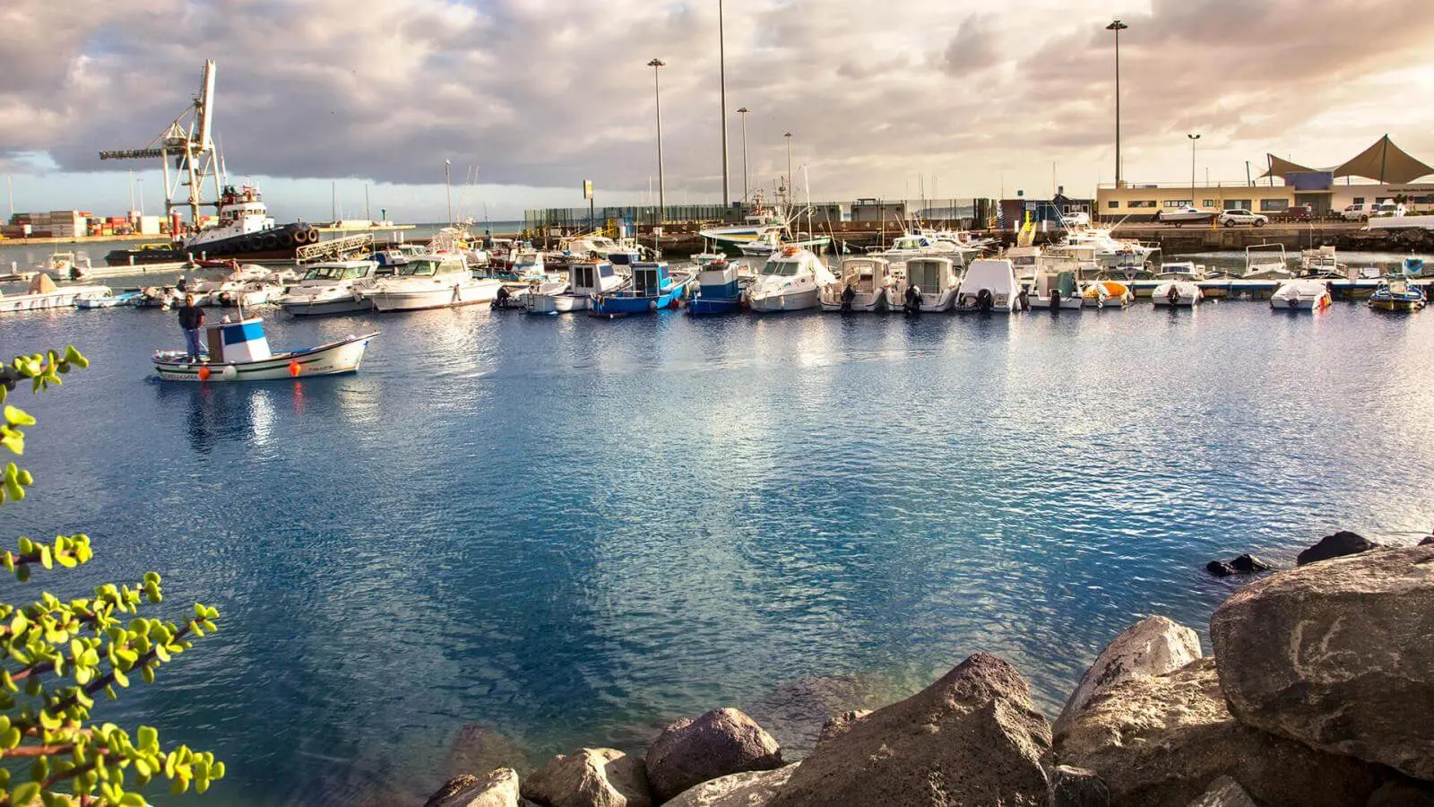 Domingo de la Cruz - Agente inmobiliario en Puerto del Rosario