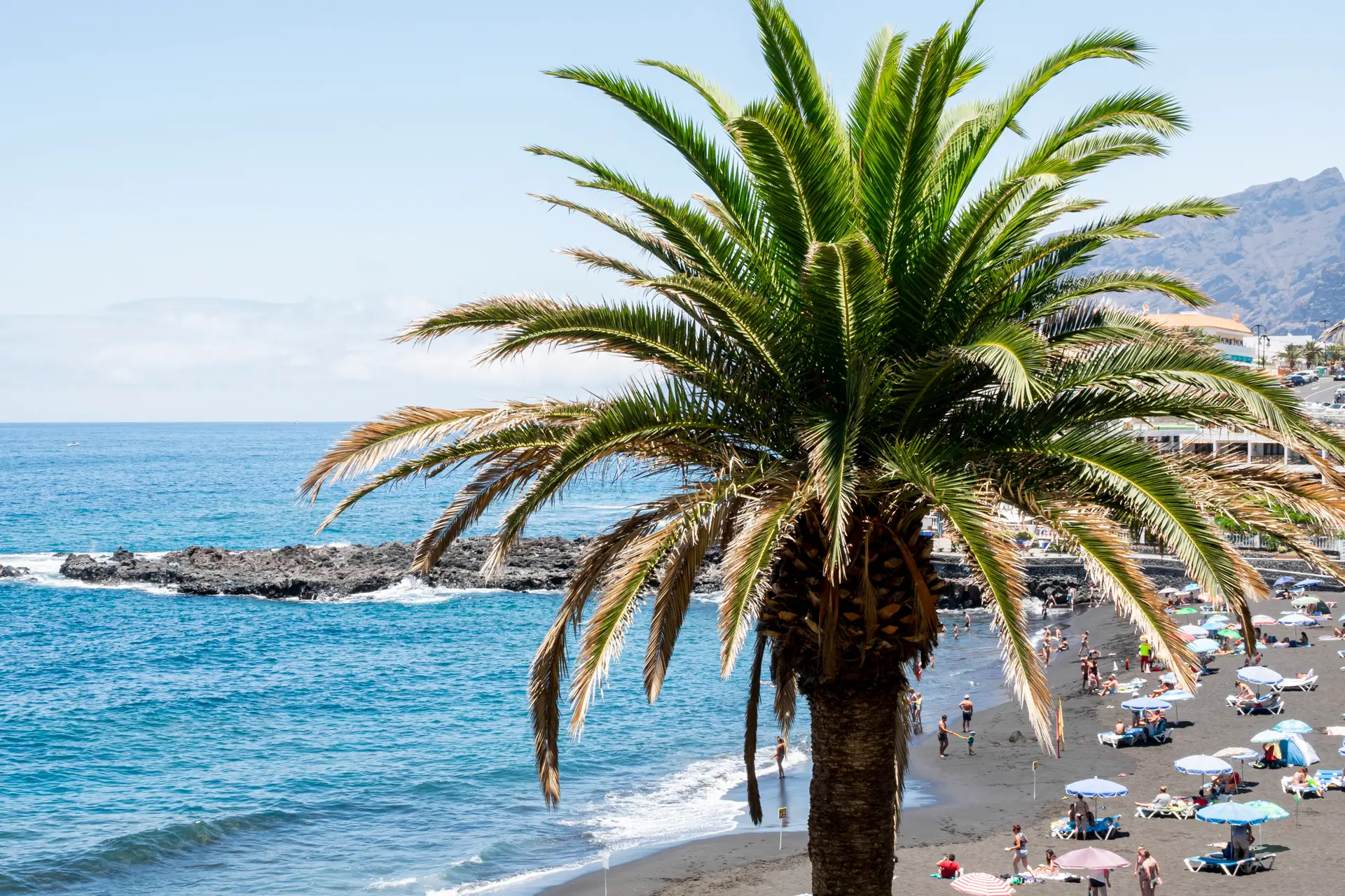 Molier Estates - Agencia inmobiliaria en Poniente