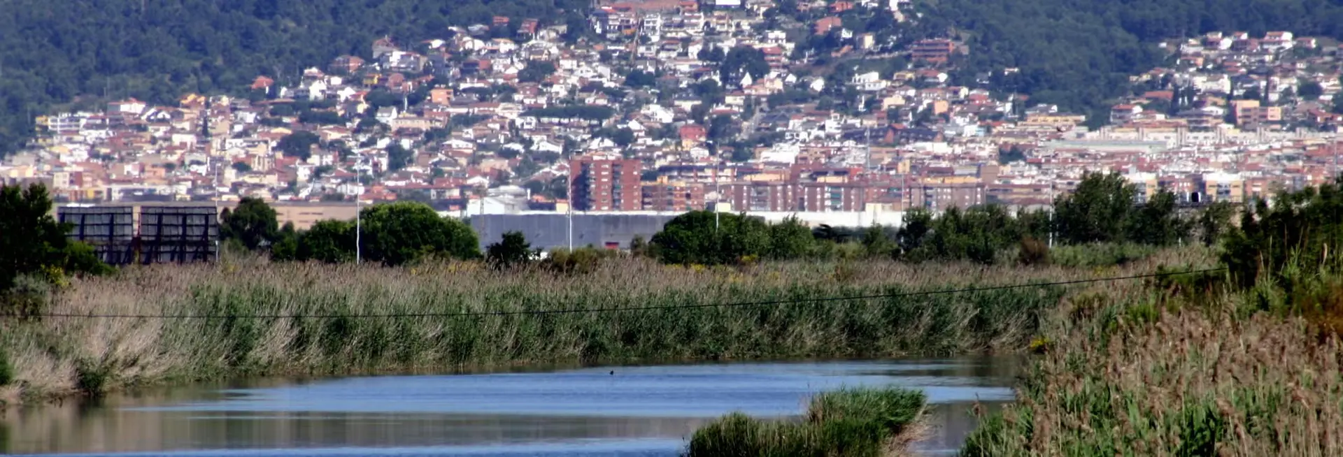 Hector Abad Péris - Agente inmobiliario en El Prat de Llobregat