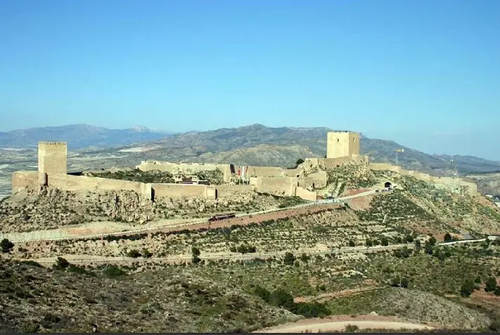 Vivantia Inmobiliaria - Agencia inmobiliaria en Lorca