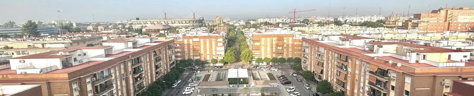 Antonio Humanes - Agente inmobiliario en Sevilla