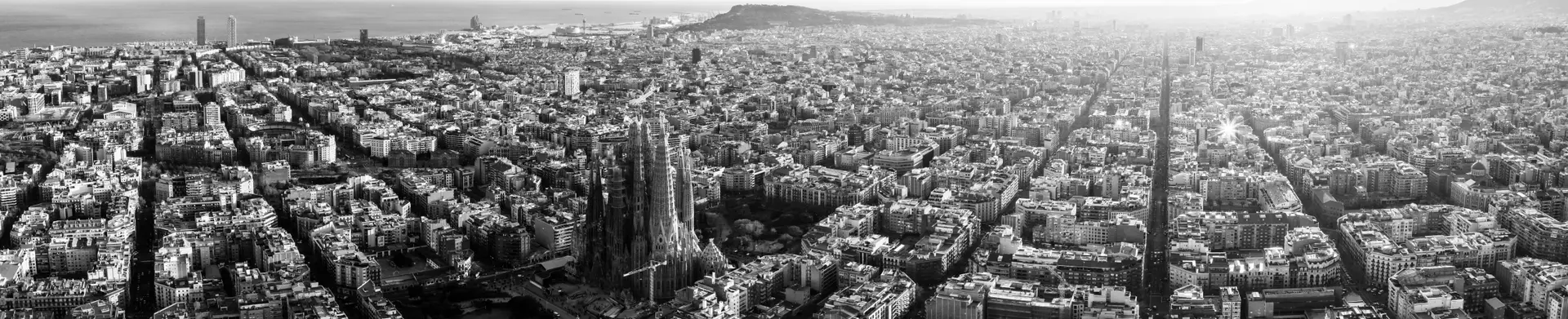 Alex Auger - Agente inmobiliario en Eixample