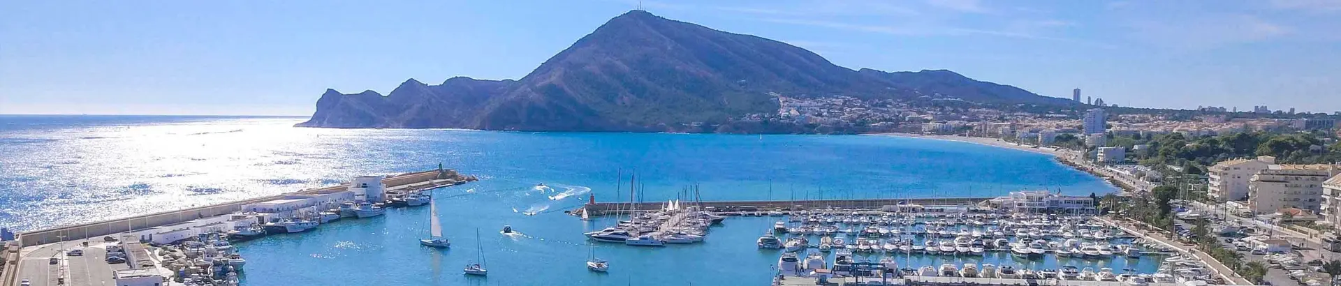 Ernesto  Alday Ceja - Agente inmobiliario en Altea