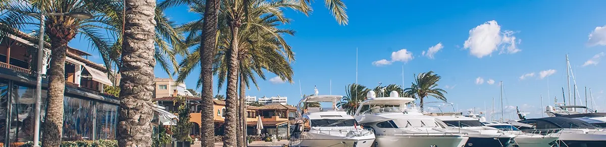 Alessandra Viganego - Agente inmobiliario en Portals Nous