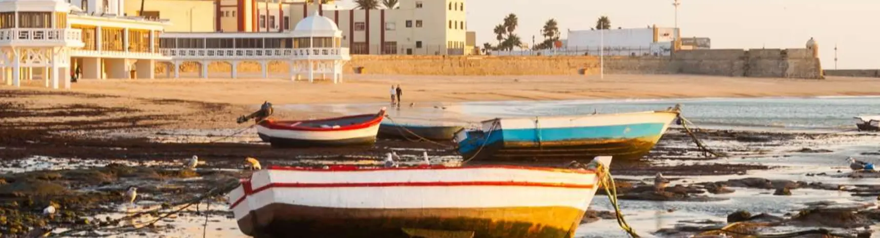 Miguel Sánchez-Polack - Agente inmobiliario en Cádiz