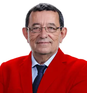 Agente inmobiliario en Bormujos: Domingo Perez