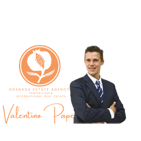 Agente inmobiliario en Centro: Valentino Pape