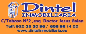 DINTEL INMOBILIARIA