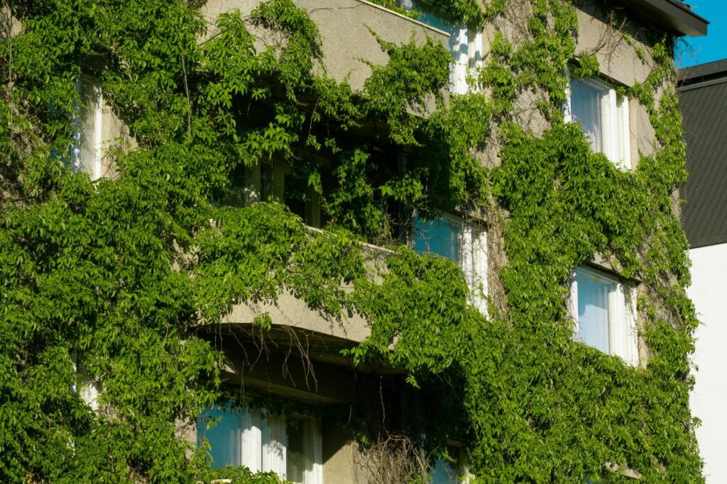 Guía para entender las casas bioclimáticas